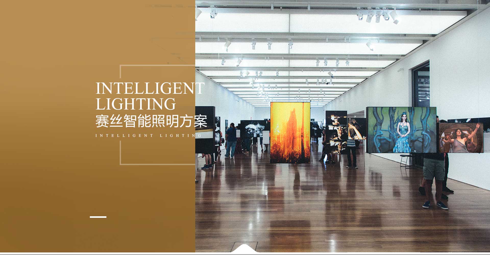 ِ�z������������,������������,������������ϵ�y,��������ϵ�y